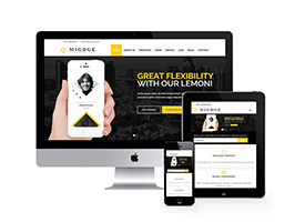 响应式五金电器出口英文外贸类网站达慧堂模板(自适应手机端)